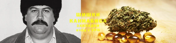 бошки Бронницы