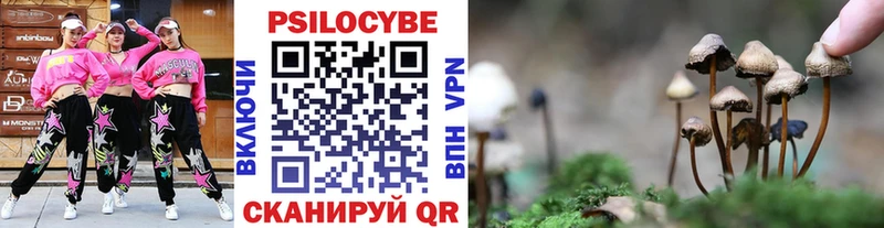 hydra вход  Ельня  Галлюциногенные грибы Cubensis 
